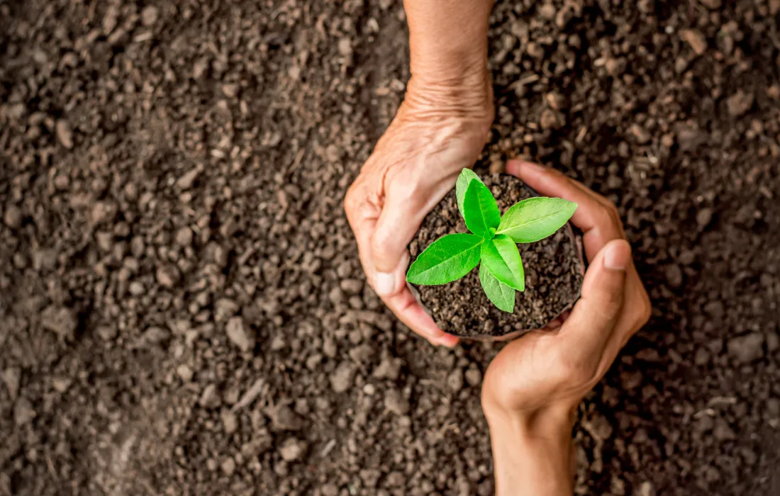 Especialización en Jurisdicción Agraria y Derecho de Tierras