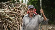 fortalecer las economías propias fortalecer las economías propias