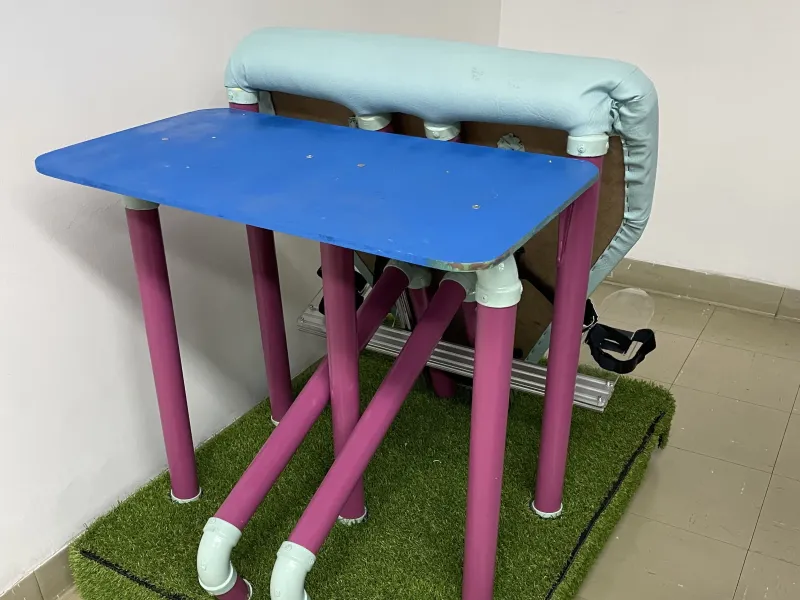 Primer bipedestador Primer bipedestador