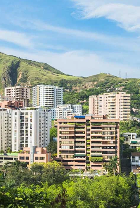 Boletín Cali Visible 2008