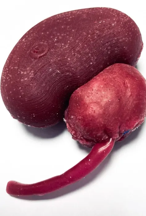 Tecnología javeriana obtuvo patente de invención Tecnología javeriana obtuvo patente de invención