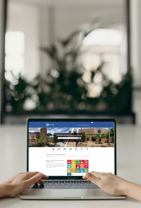 Perfiles y Capacidades Perfiles y Capacidades